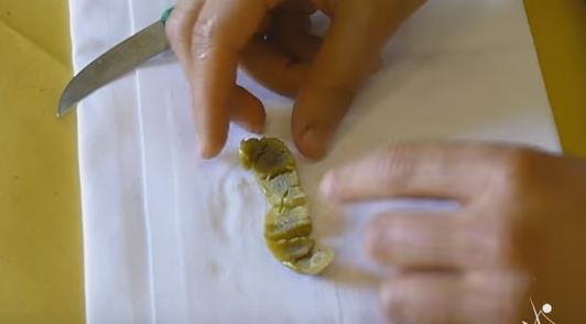 Le massaie ascolane per fare l'oliva ripiena la sbucciano a spirale (metodo tradizionale), un po' come una mela. Si prende una piccola pallina d'impasto, la si mette al centro e si ricompone l'oliva come era in principio (foto: youtube) 