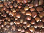 castagne bollite