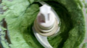 Pesto di broccoli