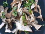 funghi arrostiti al forno