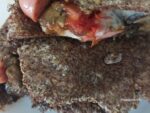 impasto per crepes