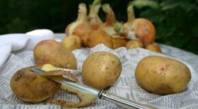 Come cucinare le patate