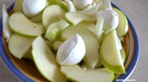 Insalata di finocchi e mele