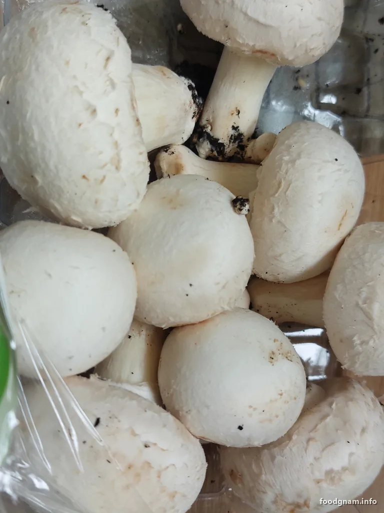 funghi champignon freschi nella vaschetta