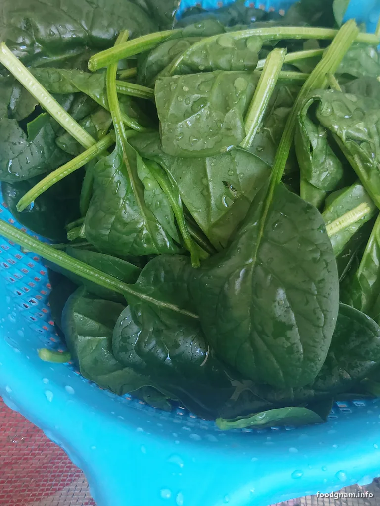 spinaci freschi lavati nello scolapasta