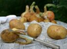 come cucinare le patate
